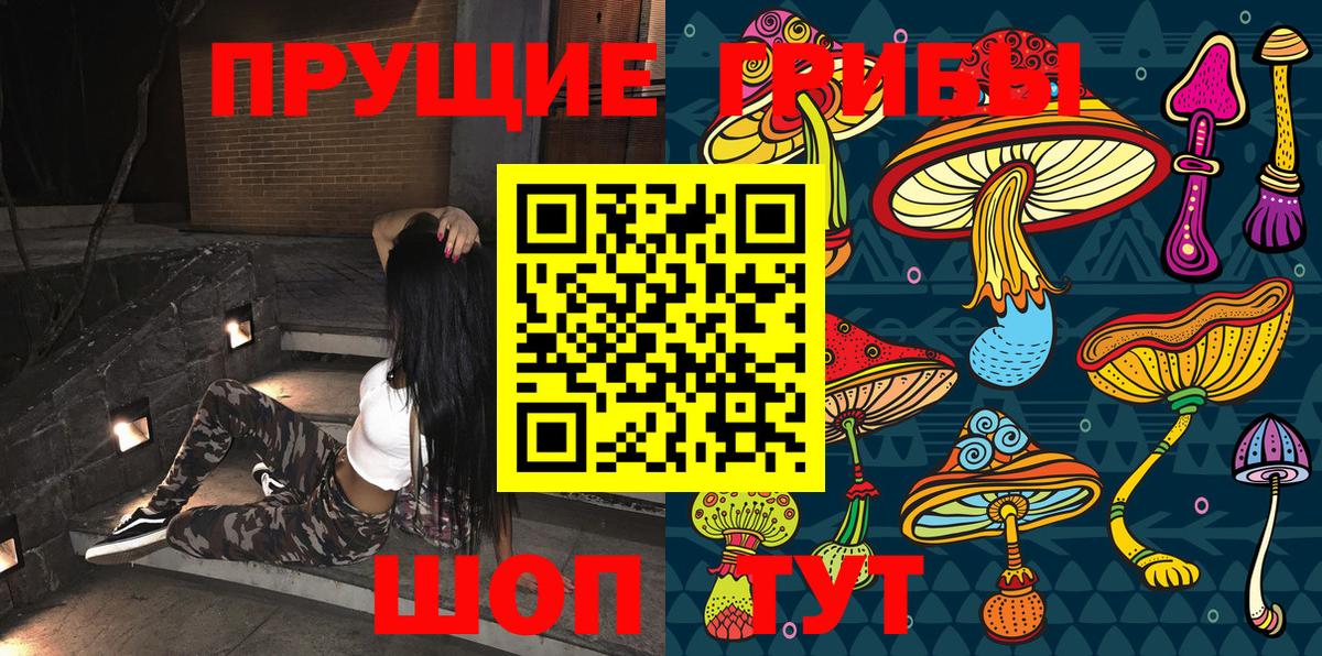 Псилоцибиновые грибы Psilocybine cubensis Видное