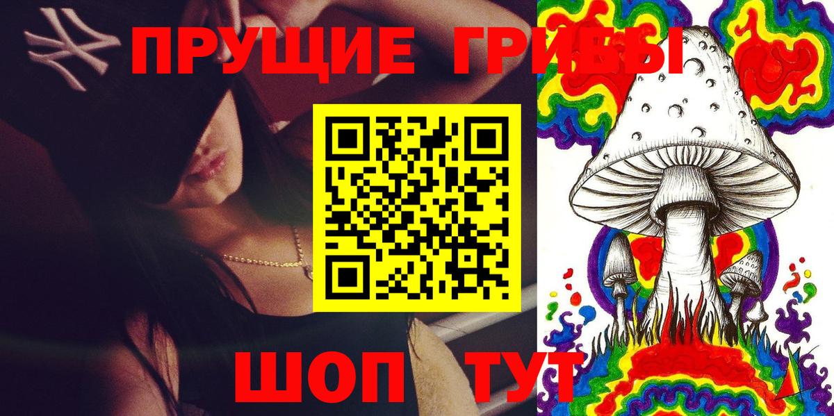 Псилоцибиновые грибы GOLDEN TEACHER  Вход с VPN  Псилоцибиновые грибы MAGIC MUSHROOMS  Видное 